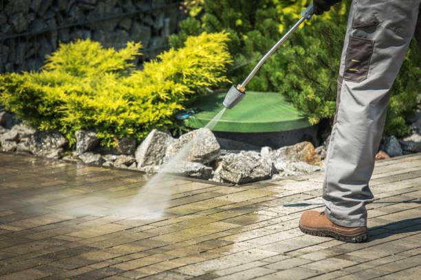 Professional Pressure Washing Services in Deerfield Beach, FL