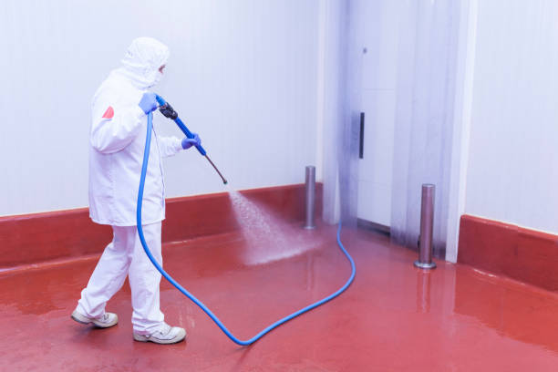 Boat and Dock Cleaning in Deerfield Beach, FL